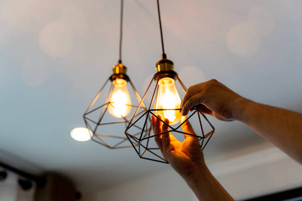 Best Emergency Electrician Near Me  in Bryant, WA