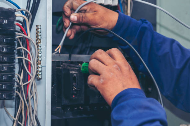Best Licensed Electrician  in Bryant, WA